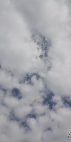 2013 Svojek Mirek Topinka